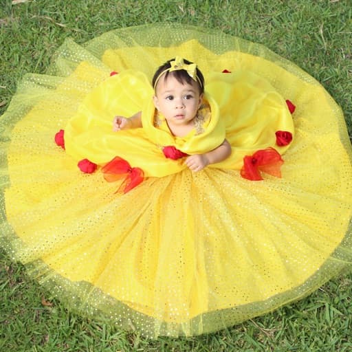 Angry Birds app icon